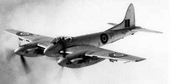  Hornet