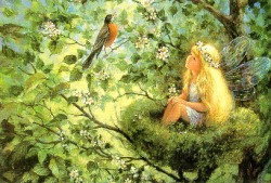 A dreamer