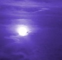 moonbeam picture